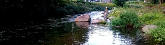 f0266202_21273520.jpg