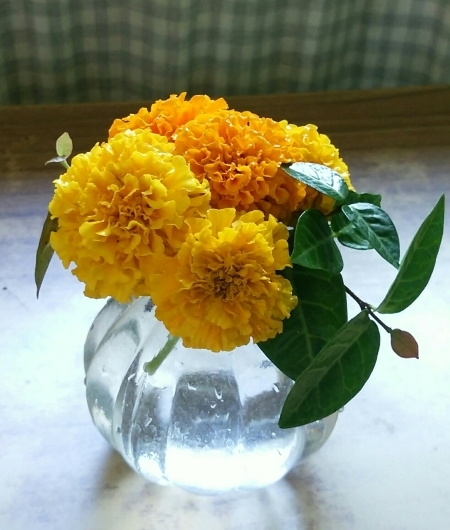 f0255704_14203437.jpg