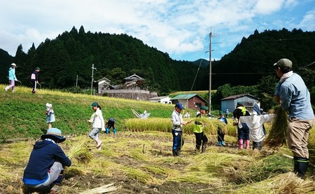 神河やまびこ学園の稲刈り…_d0265607_21554898.jpg