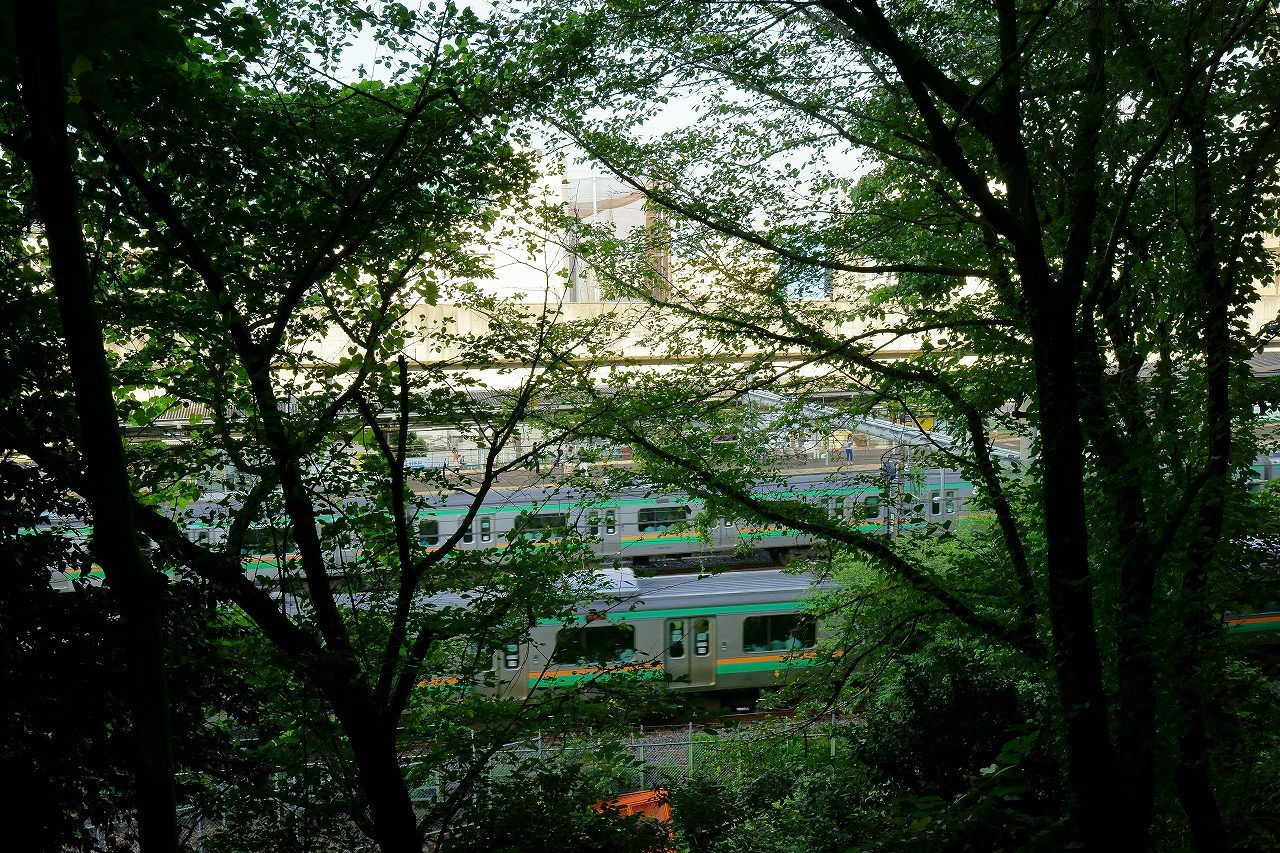 都電荒川線ぶらり旅～③荒川遊園・飛鳥山公園・王子駅前_b0225108_07503473.jpg