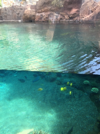 c0180009_13410067.jpg