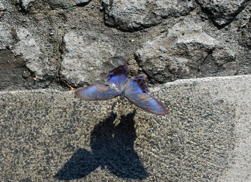 f0182513_21563540.jpg