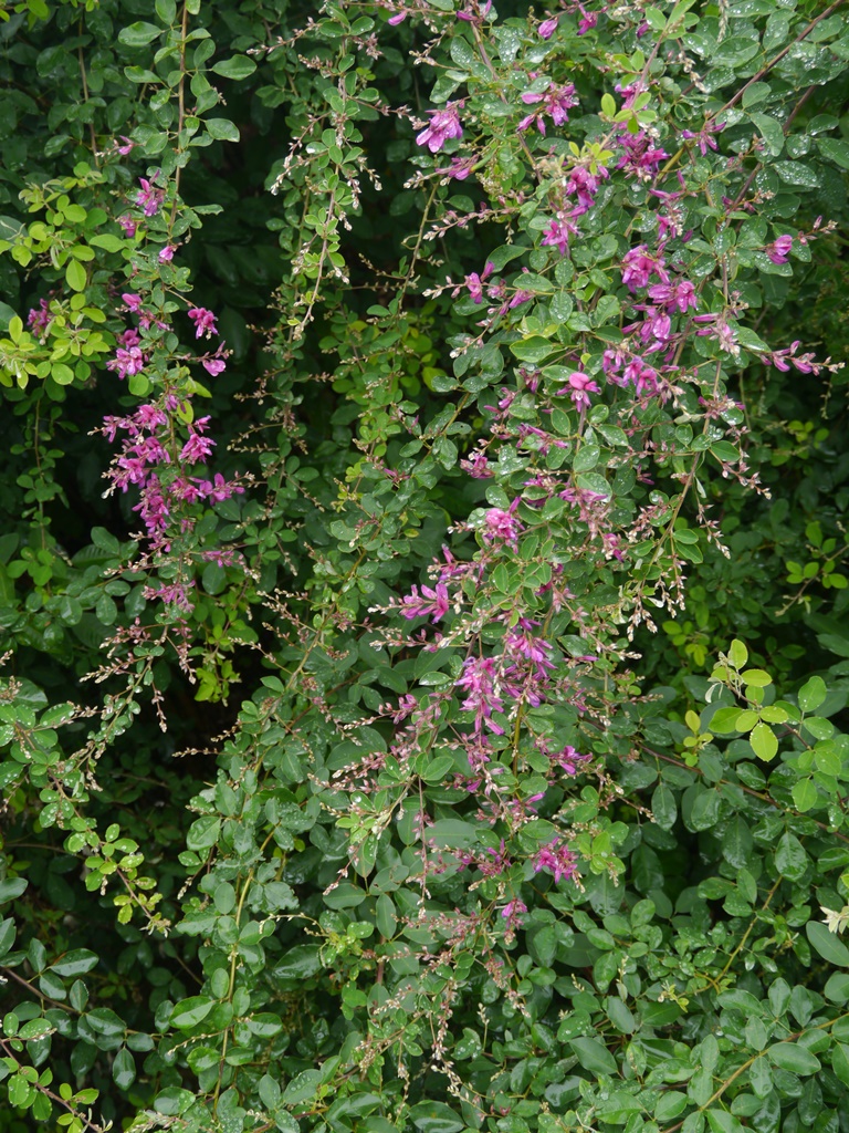 e0336214_13524186.jpg