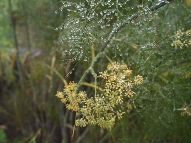 e0336214_13571980.jpg