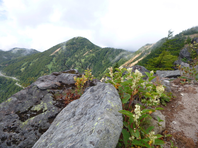 今日のお気に入り写真　東篭登山 (2,227.9M) に登る_d0170615_1023957.jpg