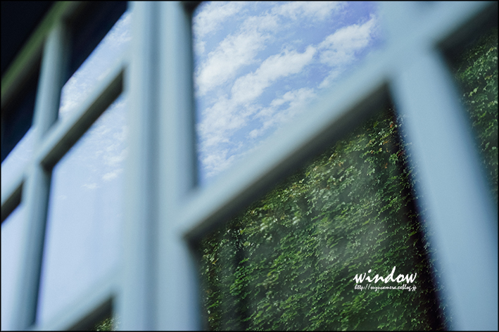 空の窓、蔦の窓_f0100215_23085158.jpg