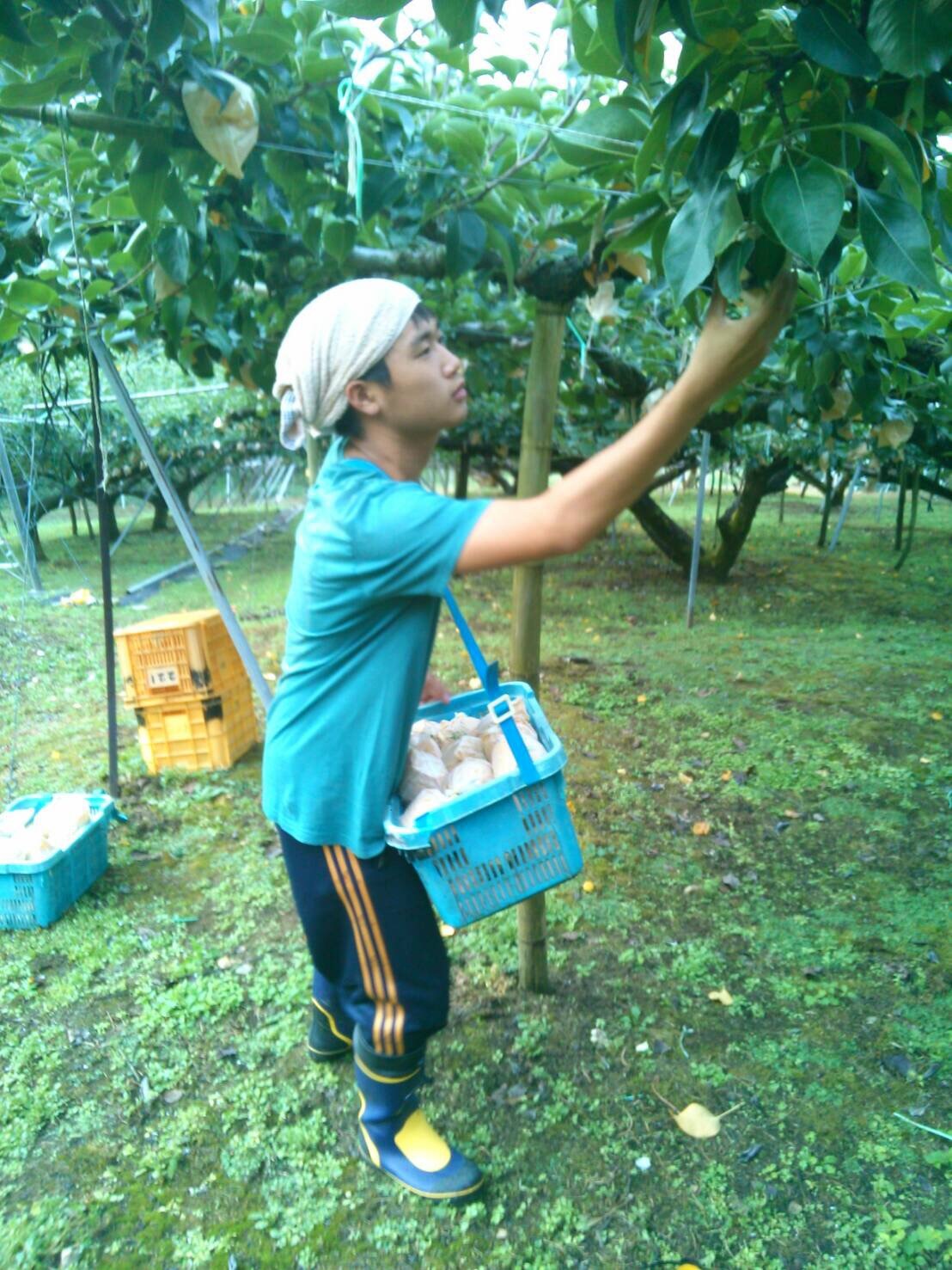 f0142721_10244550.jpeg