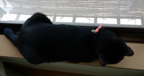 c0280322_18343041.jpg