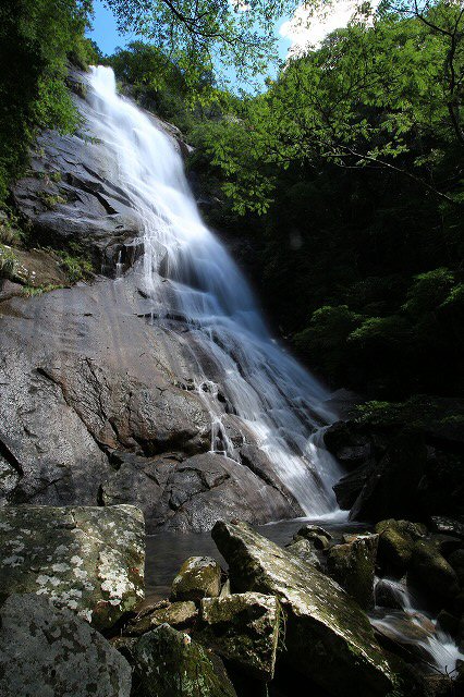 e0321325_1554757.jpg