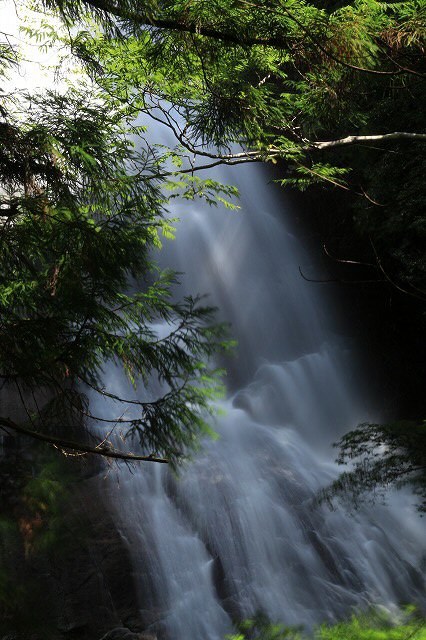 e0321325_1555158.jpg