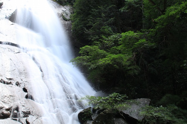 e0321325_15562431.jpg