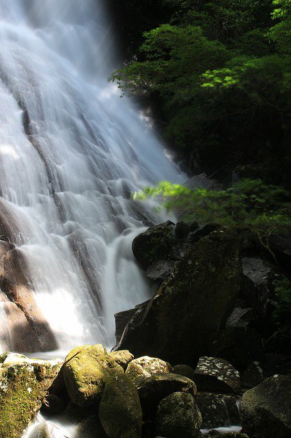 e0321325_15565111.jpg