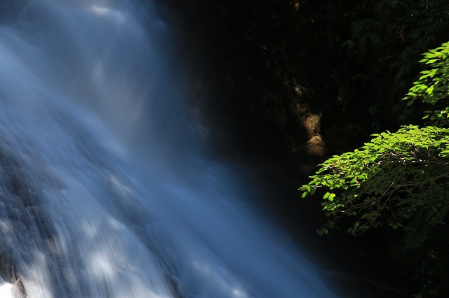 e0321325_15584645.jpg