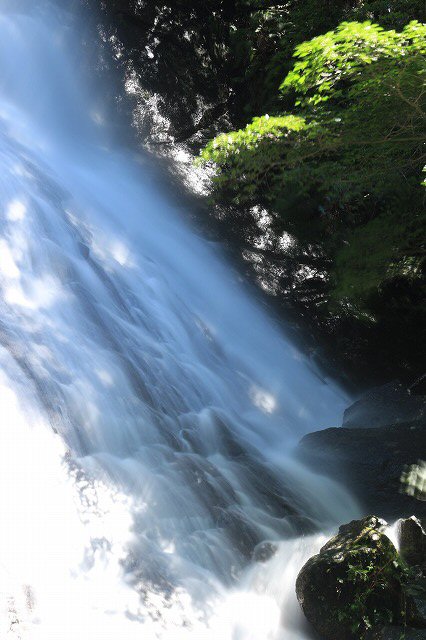 e0321325_1558547.jpg