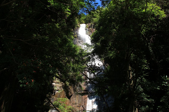 e0321325_15585720.jpg