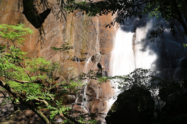 e0321325_1559893.jpg