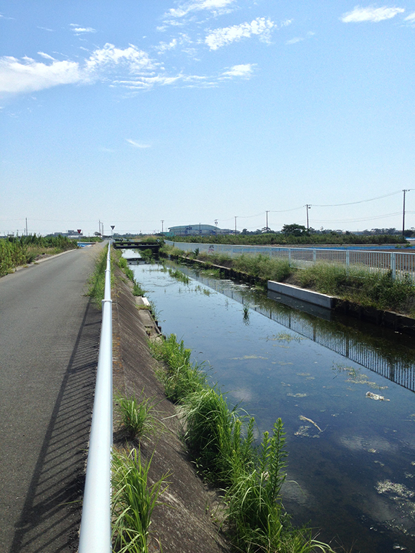 b0302227_12544425.jpg