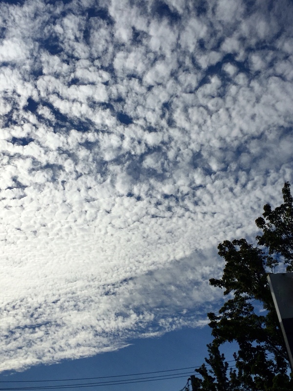 a0224537_3232149.jpg