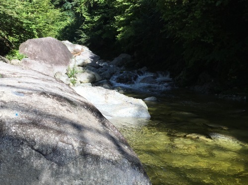 b0330040_21224369.jpeg