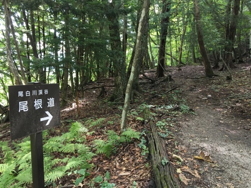 b0330040_22483463.jpeg