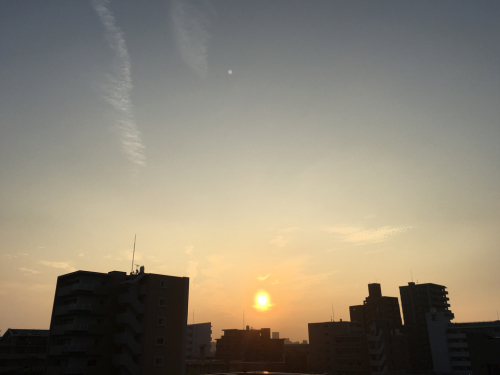 d0148449_06520858.jpg