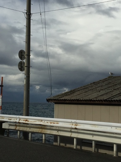 b0346851_08291817.jpeg