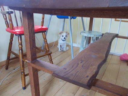 b0129758_17495982.gif