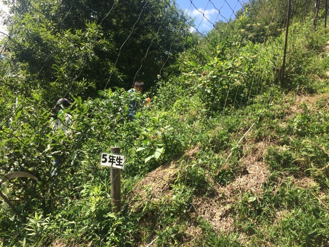 f0228958_18170331.jpg