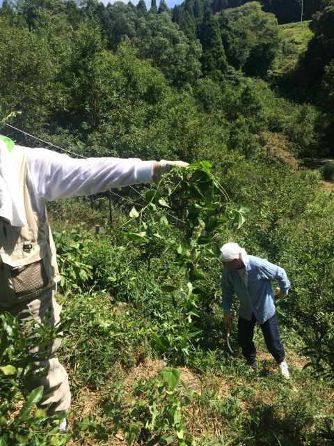 f0228958_20110638.jpg