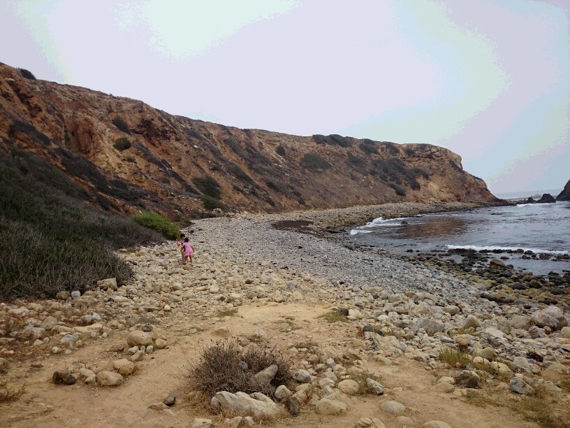 c0260463_6464451.jpg