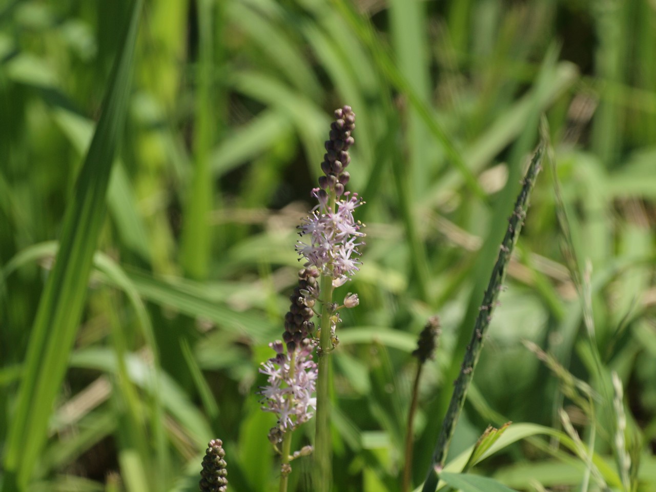 d0054276_20404890.jpg