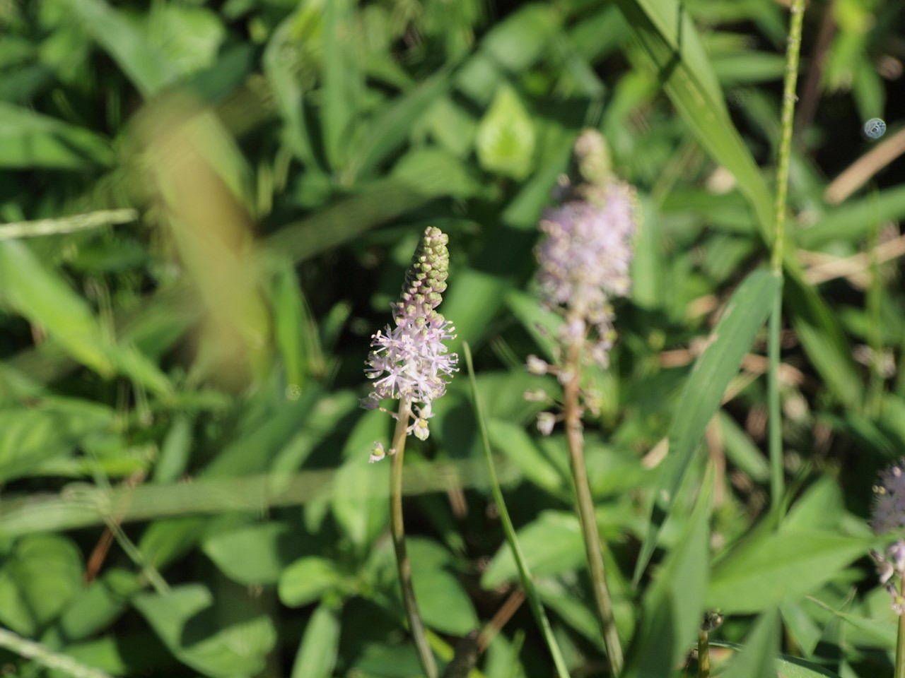 d0054276_20413690.jpg