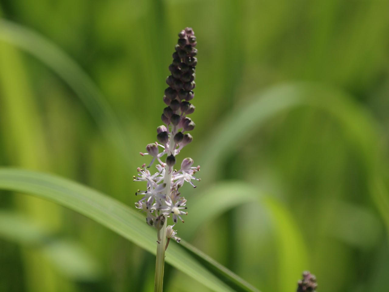 d0054276_2042025.jpg