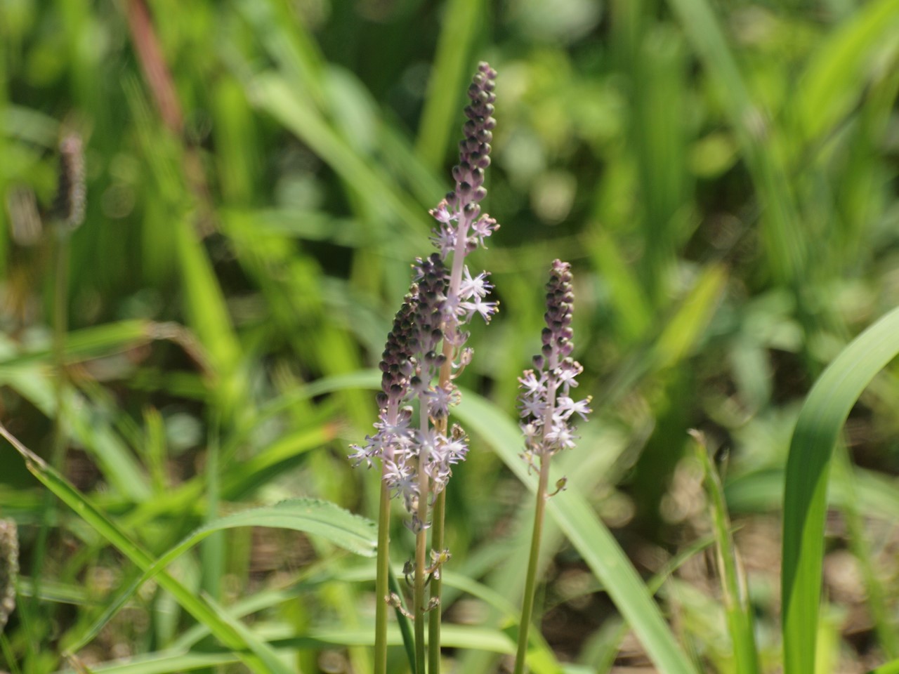 d0054276_20421329.jpg