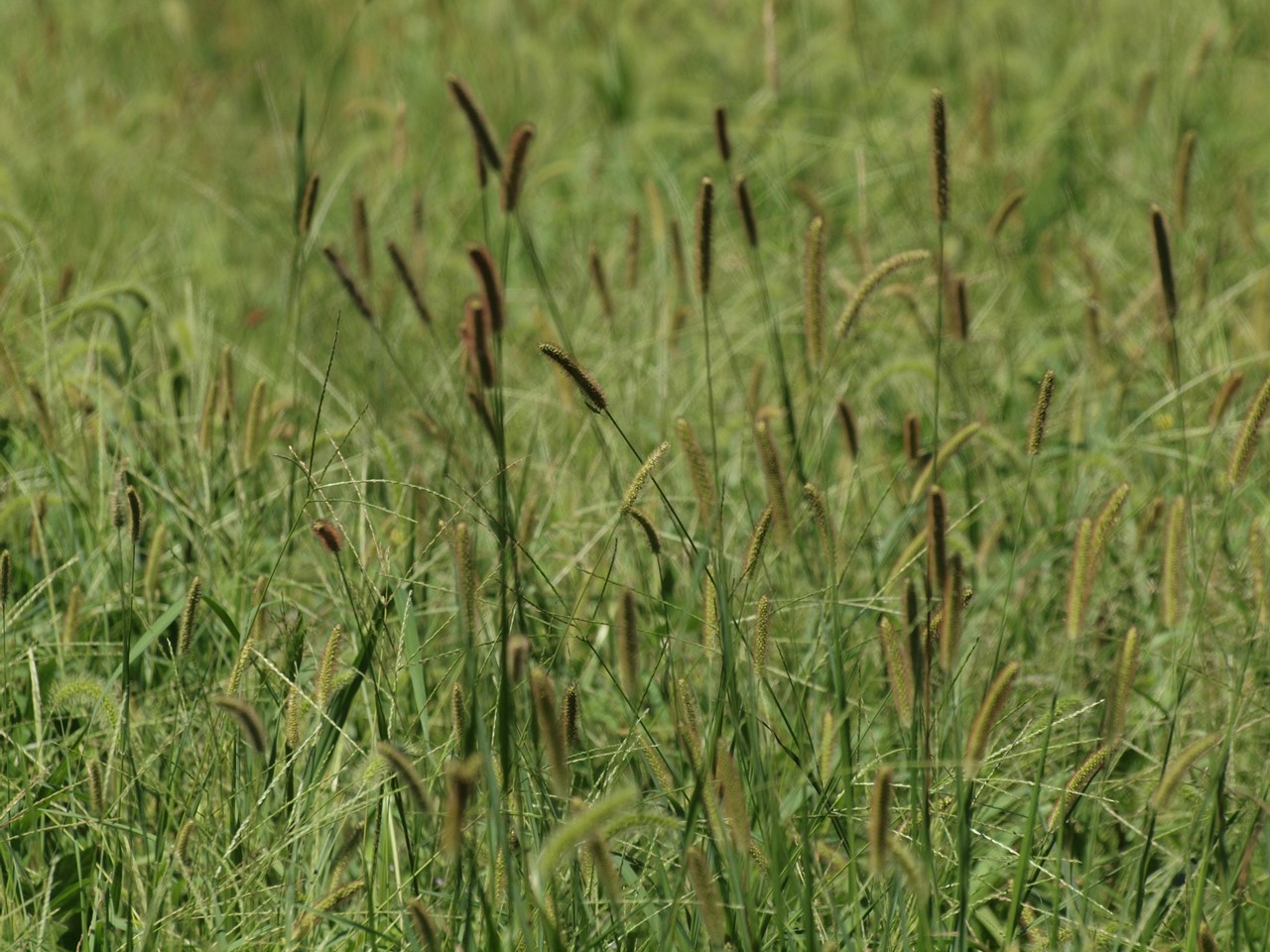 d0054276_20451045.jpg
