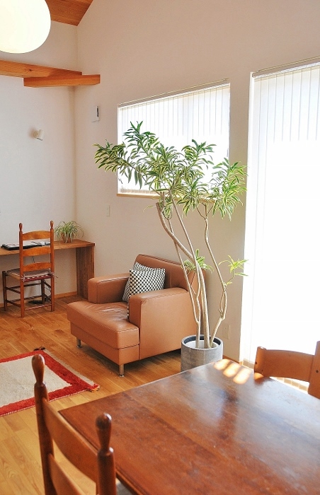 お金をかけずに部屋の雰囲気を変えるなら やはり植物 地方在住 設計事務所と地味な家を造る