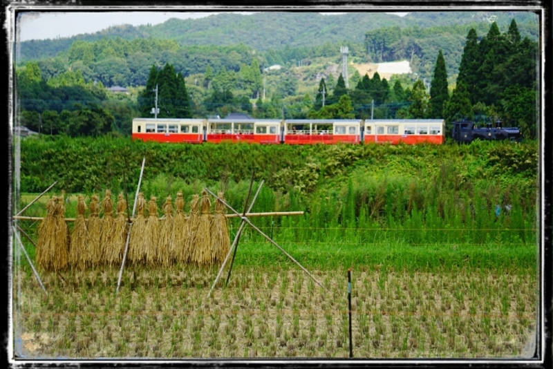 d0341483_22033716.jpg