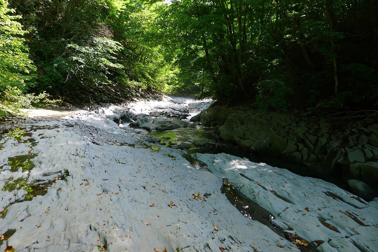 a0130586_1421750.jpg