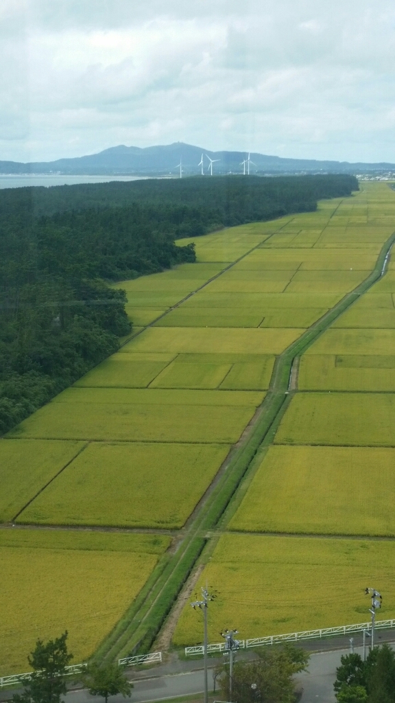 d0226286_17080367.jpg