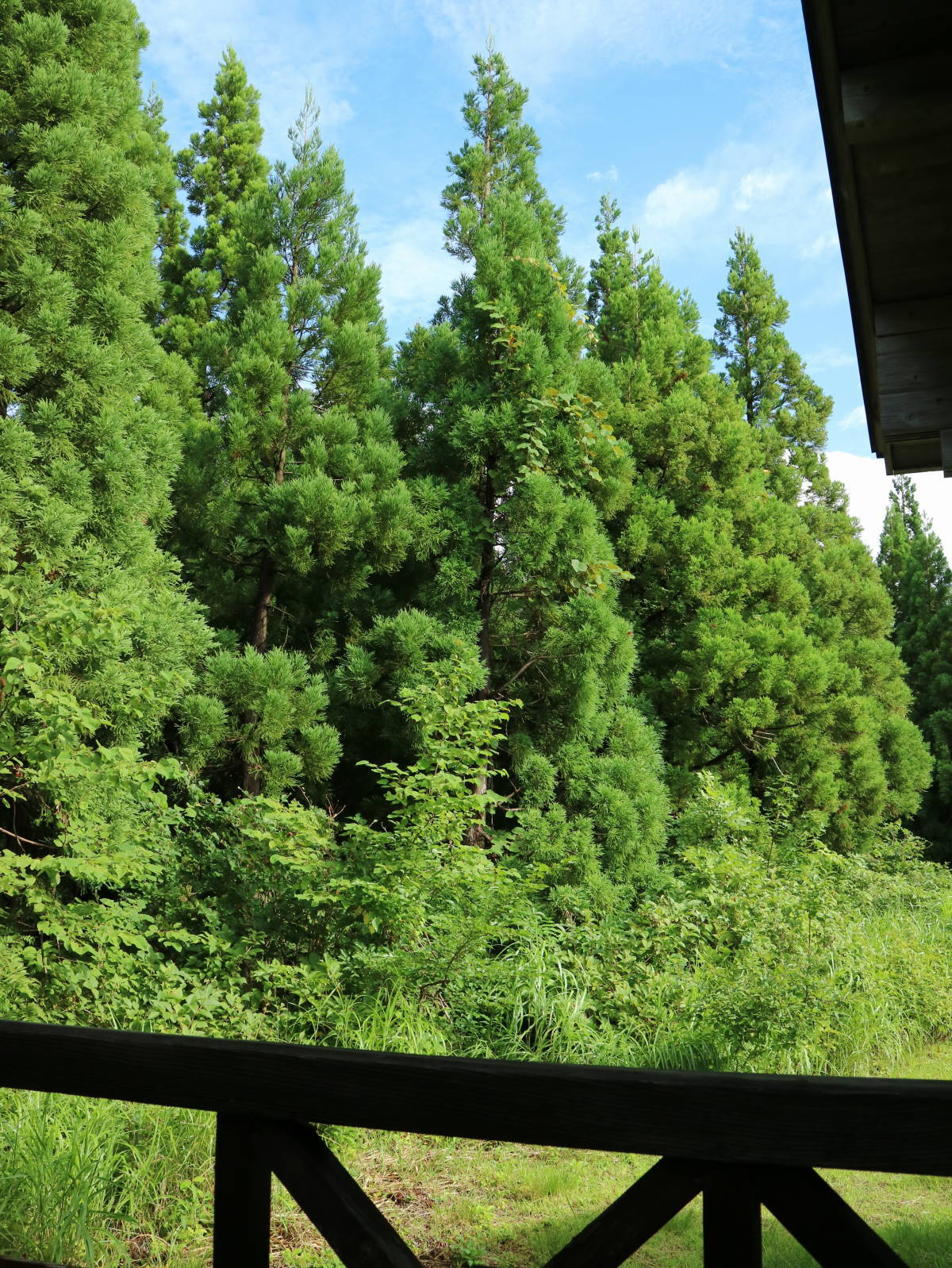 f0075595_08212662.jpg