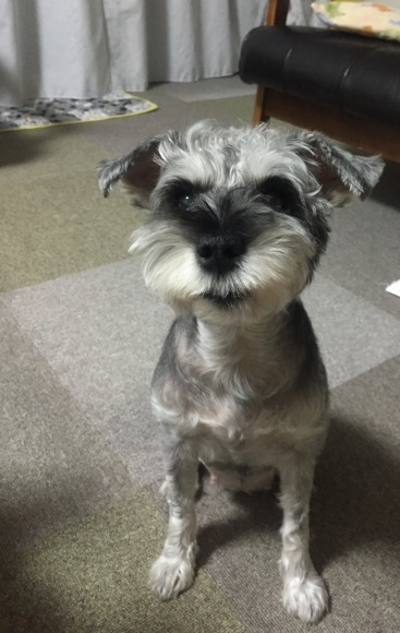 b0188998_13371719.jpeg