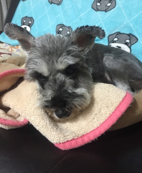 b0188998_13373837.jpeg