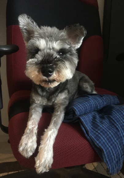 b0188998_13375807.jpeg