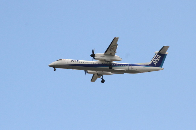 c0360399_1515224.jpg