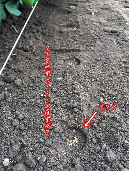 b0190800_13565511.jpg