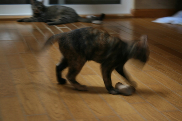 f0242002_22343428.jpg