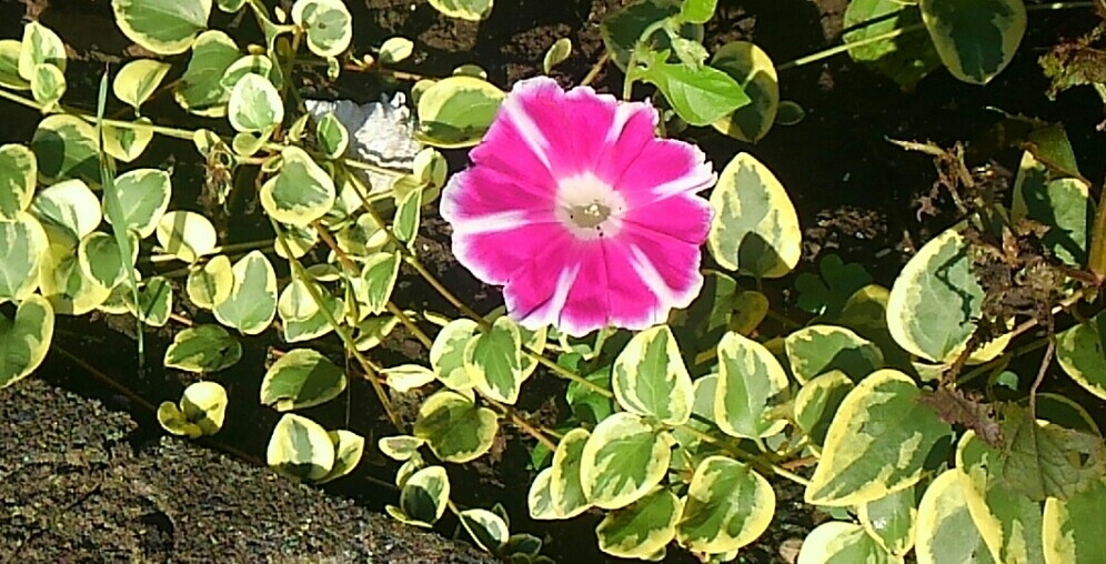 d0306603_02000414.jpg