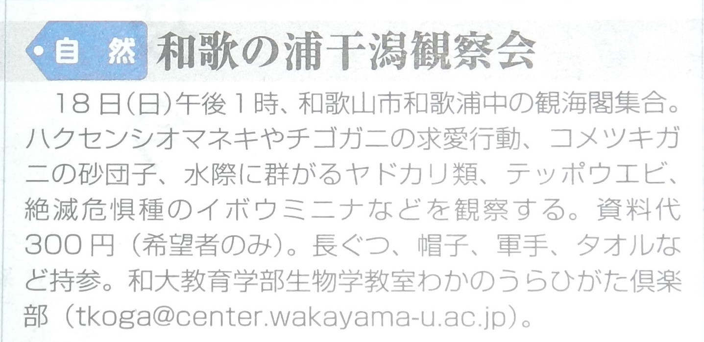 名勝和歌の浦　観月会　―竹燈夜IN妹背山―　準備・竹灯籠運搬_c0367107_16300269.jpg