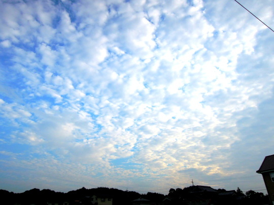 a0158613_14483616.jpg