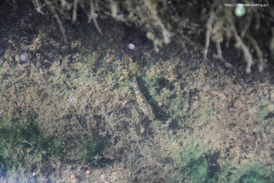 c0189013_521982.jpg